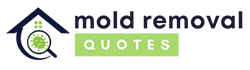 Boynton Beach Mold Removal